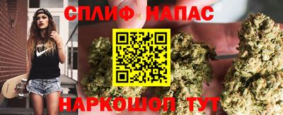 Альфа ПВП Тверь