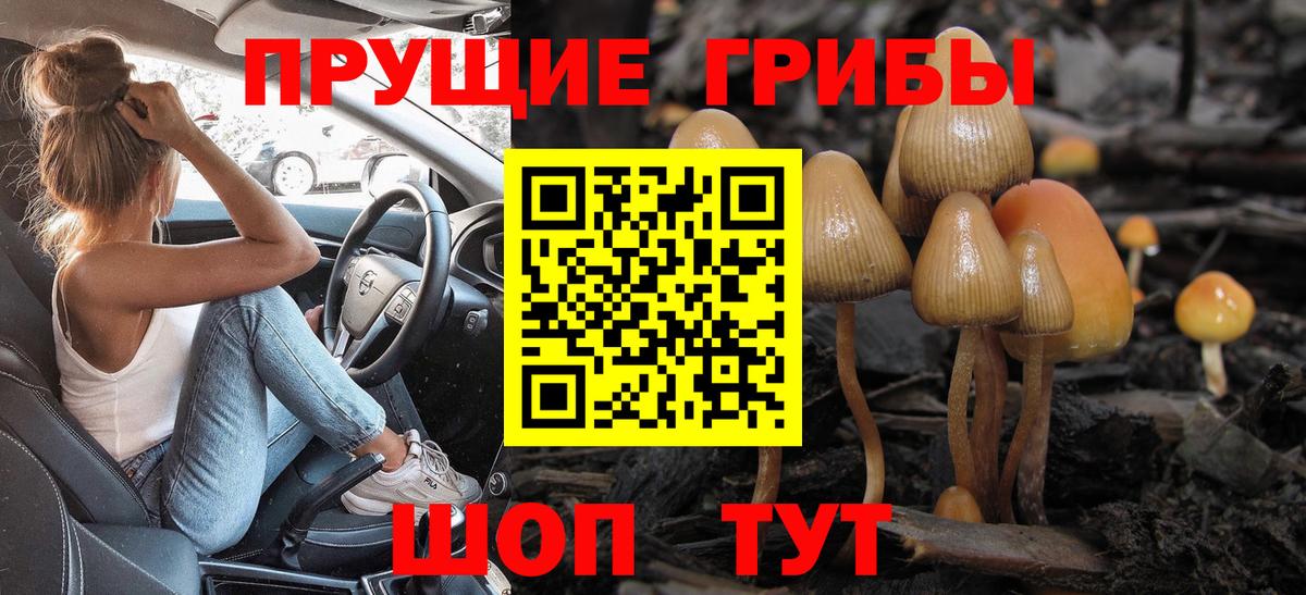 Искитим  Псилоцибиновые грибы Cubensis  Вход с VPN 